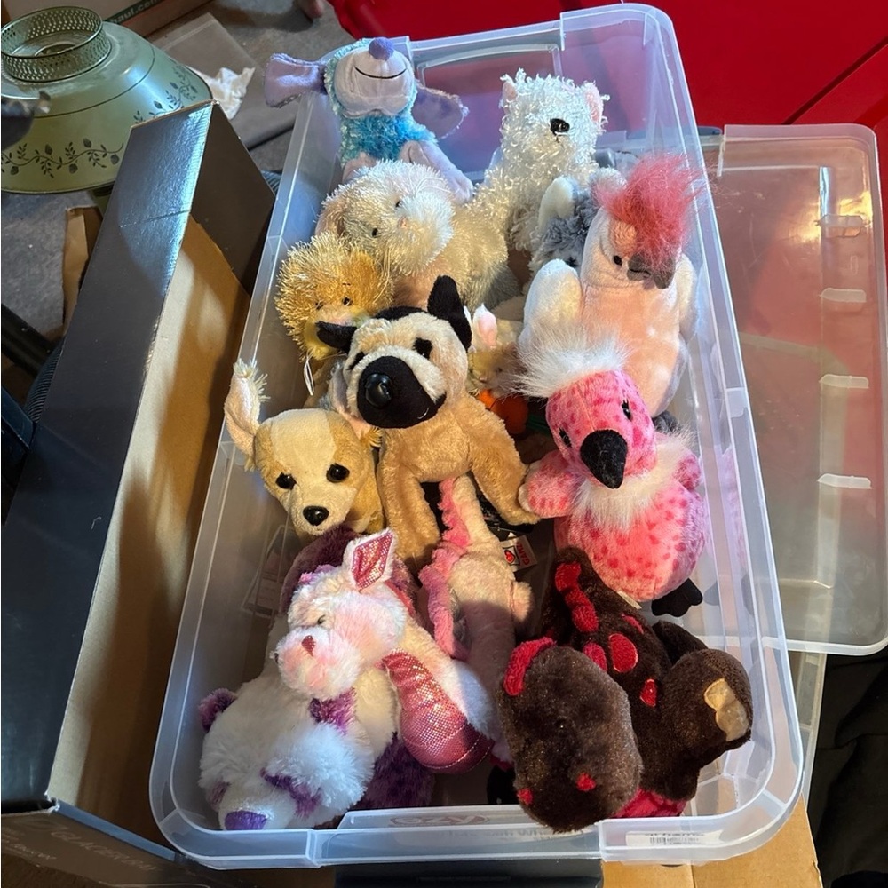 lot of 13 webkinz